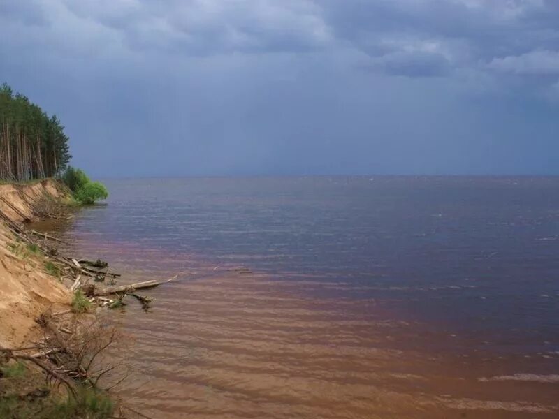 Погода в буревестнике городецкого. Буревестник Горьковское море. Пляж Буревестник Горьковское море. Поселок Буревестник Горьковское море. Посёлок Буревестник Нижегородская область Городецкий.