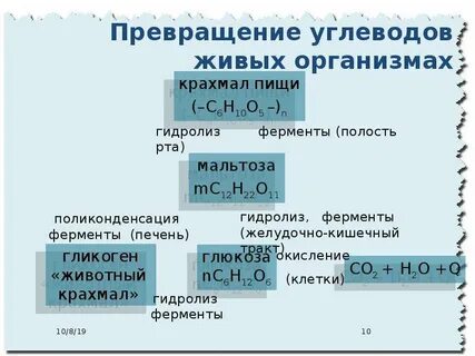 Обмен неорганических веществ