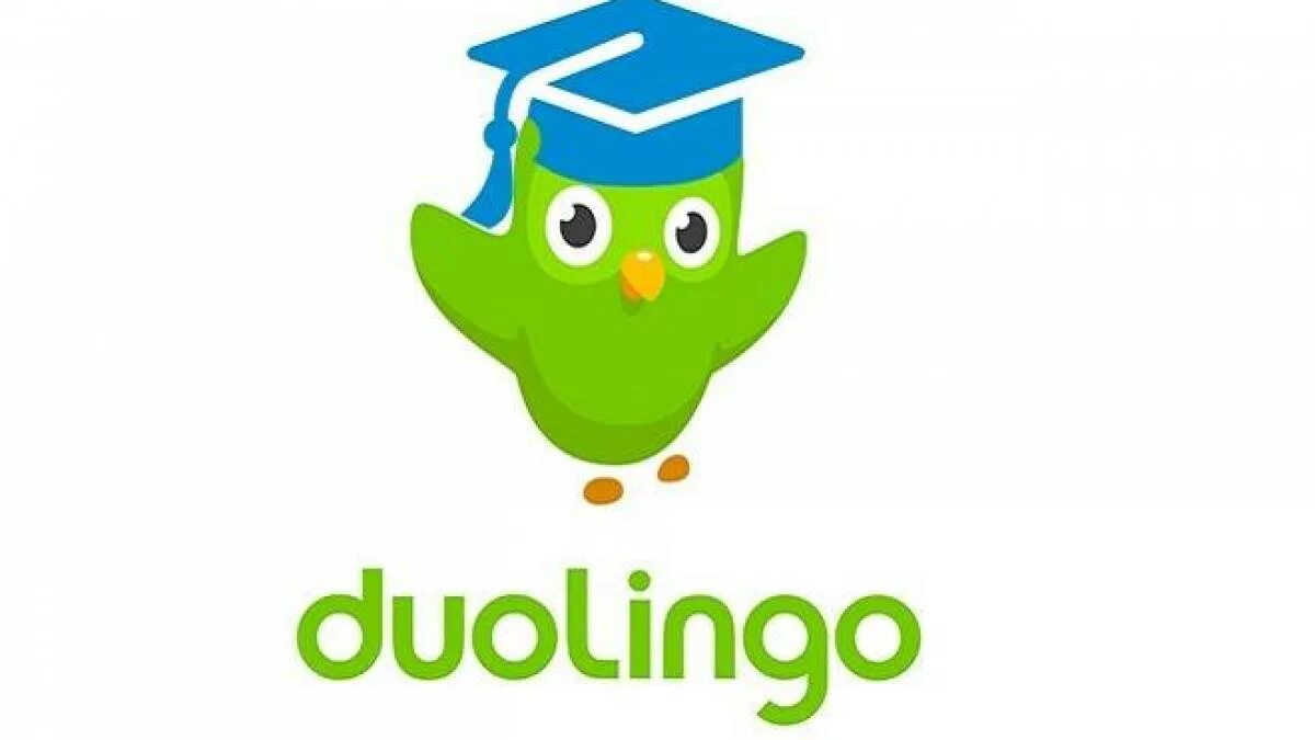 Duolingo учим. Дуолинго. Значок Дуолинго. Duolingo картинки. Duolingo рисунок.