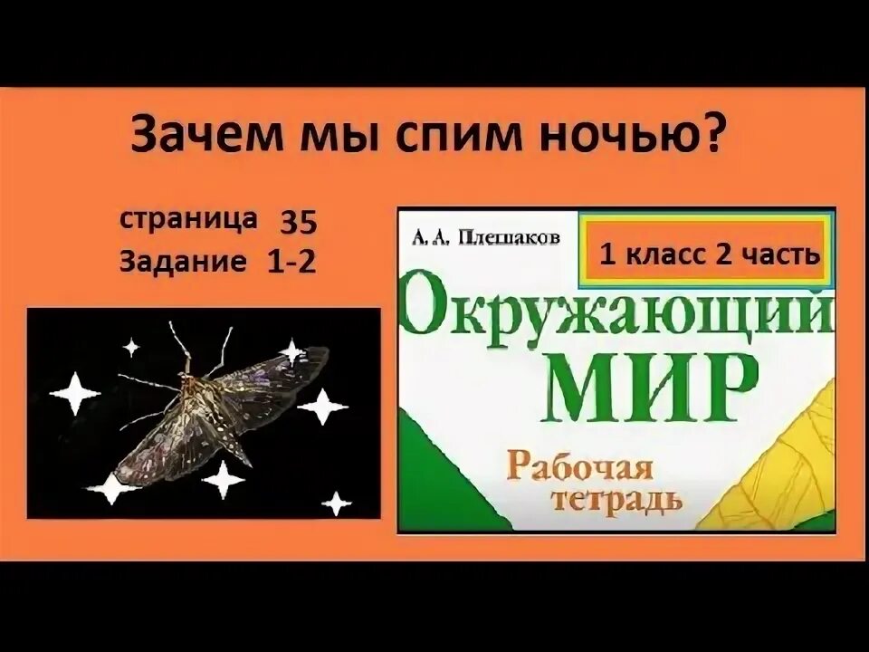 Почему мы спим ночью видеоурок 1 класс. Окружающий мир 1 класс почему мы спим ночью задания. летучая мышь сова ночная бабочка лесная мышь жуки светляки. нарисуй свой сон 1 класс окружающий мир.