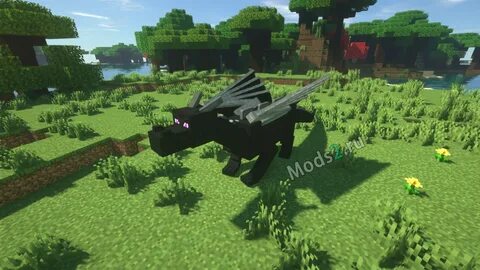 Dragon 1.16 5