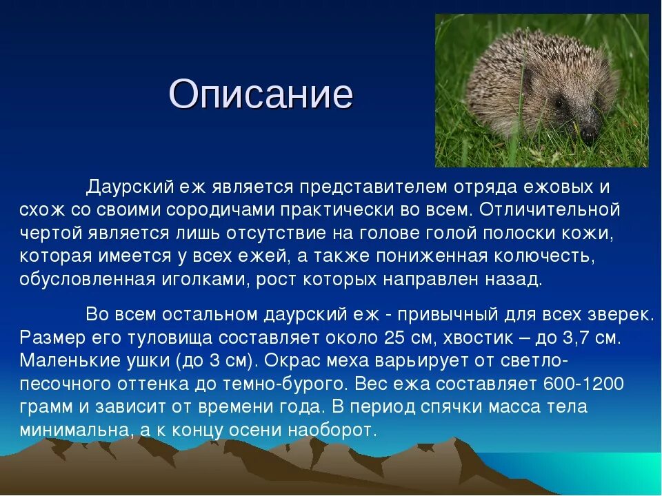 Даурский еж среда обитания. Красная книга Забайкальского края Даурский еж. Даурский ёж красная книга. Даурский еж красная книга России. Ежик краткое содержание