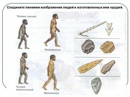 Эволюция орудий труда