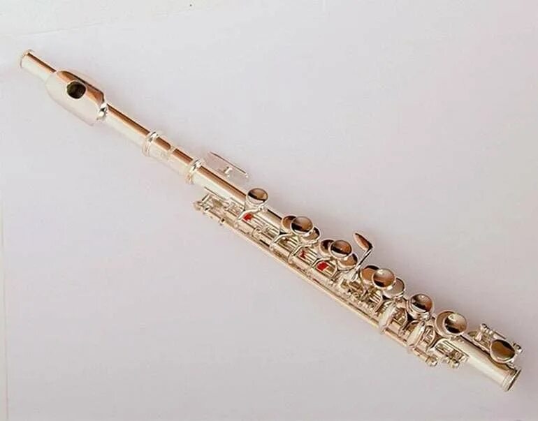 Flute. Флейта Пикколо музыкальный инструмент. Brahner f-310sc флейта c. Флейта Пикколо conductor. Флейта Пикколо кондуктор.