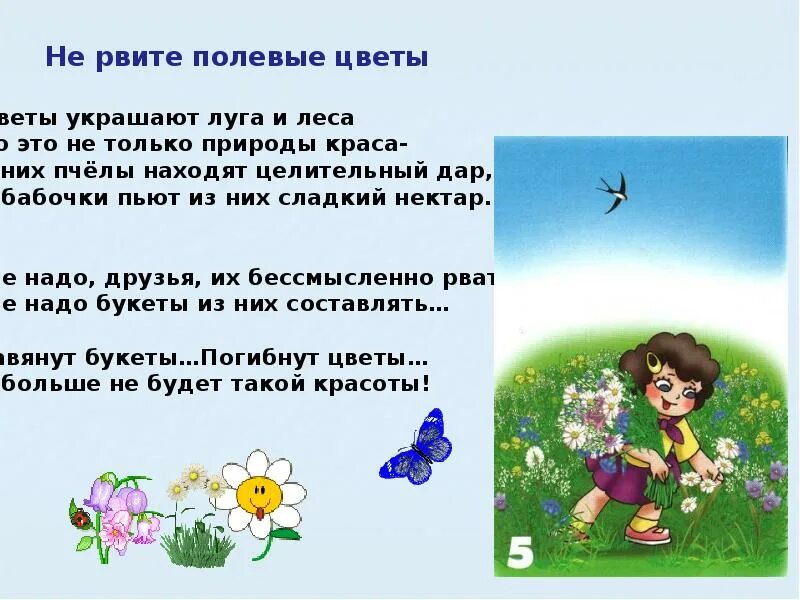Текст как хорошо летом в лесу выйдешь