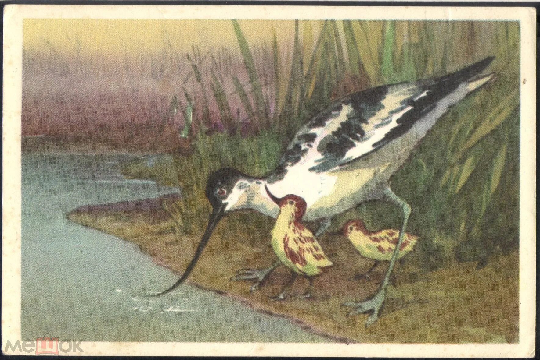 Л худ. Луцци клето. Сказка о глупом мышонке иллюстрации кузнецова. Никитина р. Художники узбекистана современные.