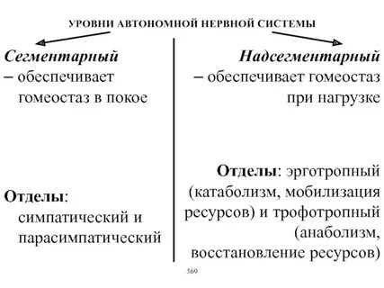 Автономный уровень