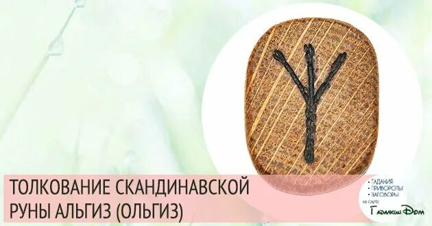 Руна альгиз толкование значение. Руна альгиз описание. руна альгиз перевернутая. скандинавская руна защиты альгиз. скандинавские руны альгиз значение.