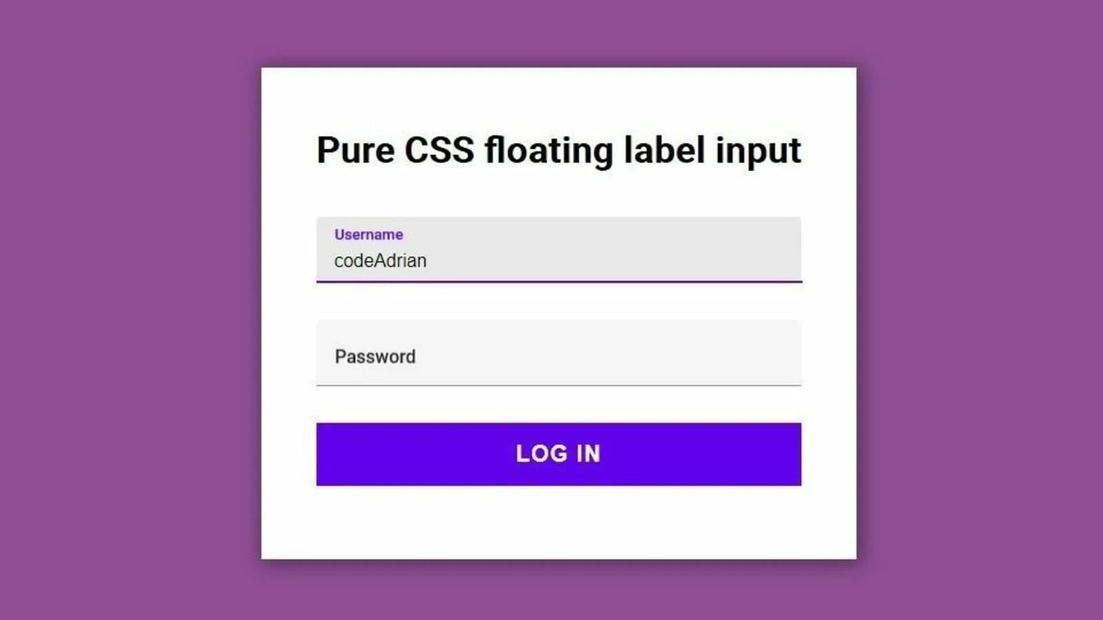 Красивые input. Input внутри label. input html css. label внутри input html. label input css.