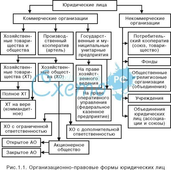 Гражданский кодекс рф формы предприятий. Таблица виды юридических лиц (вид и признак). Типы юридических лиц таблица. Составьте схему «организационно-правовые формы юридических лиц».. Схема организационно-правовые формы коммерческих юридических лиц.