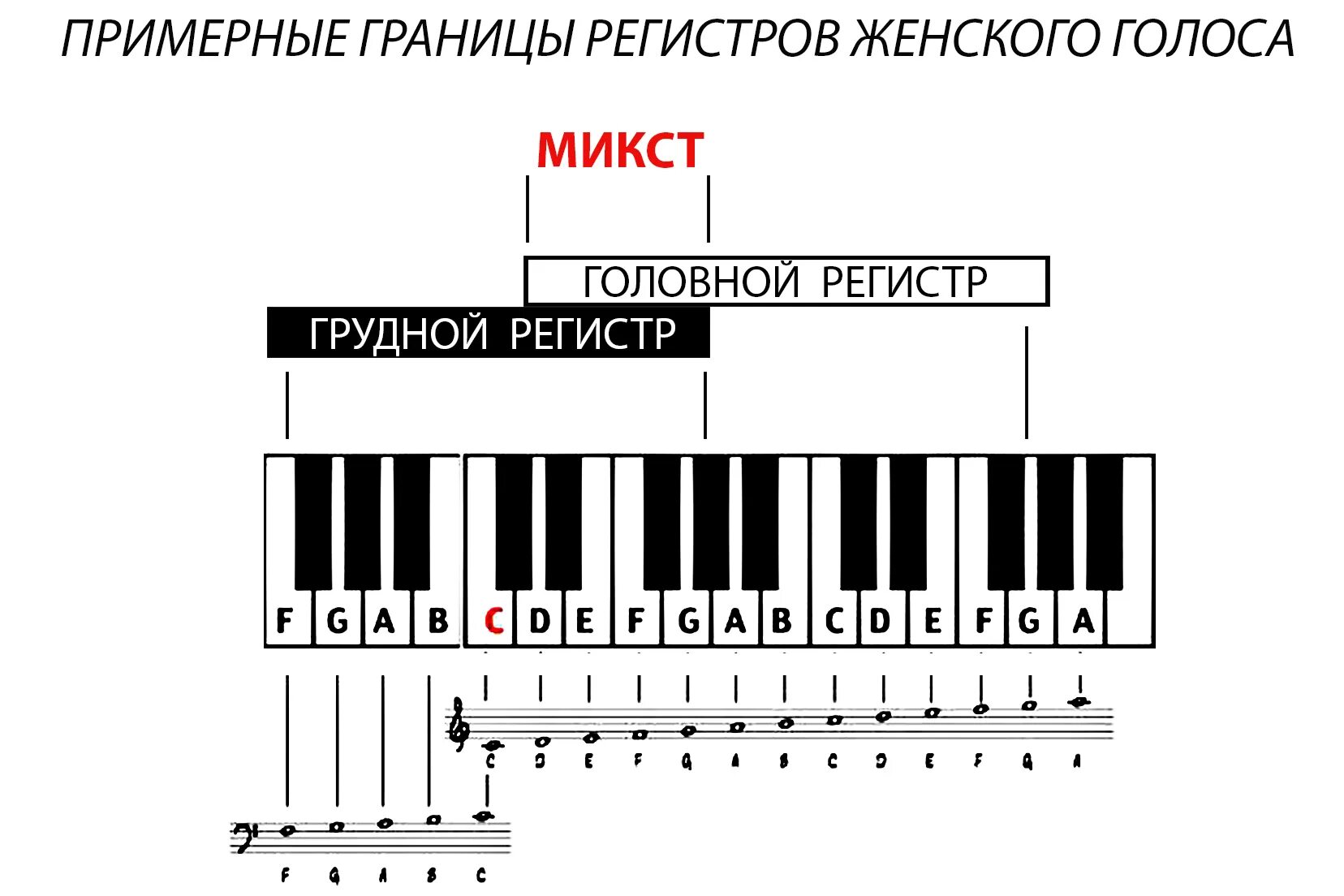 Голос 4 октавы. Грудной головной регистры голоса. Регистры женского голоса. Женские певческие регистры. Регистры голосового аппарата.