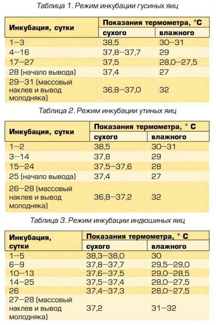 Таблица температуры инкубации куриных яиц по дням. Инкубация куриных яиц таблица температура. Какая температура в инкубаторе для куриных яиц при закладке. Закладка утиных яиц режим инкубации таблица. Таблица инкубации гусиных и утиных яиц.