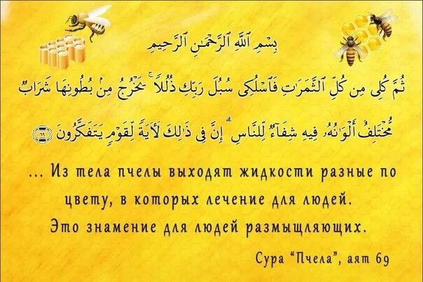 Сура ан нахль. Сура пчелы. Пчелы в Коране. Коран Сура пчелы. Сура и аят Корана для пчелиных.