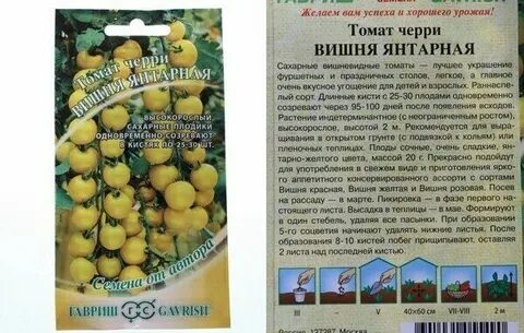 Томат вишня характеристика и описание сорта
