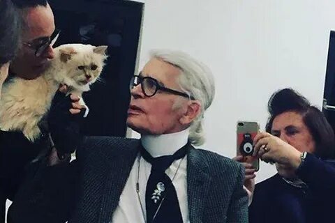 Наследство коту