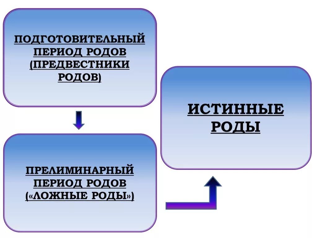 Подготовительный и прелиминарный периоды. Подготовительный период родов. Подготовительный период в родах. Периодв родов подготовительный. Периоды родов что происходит