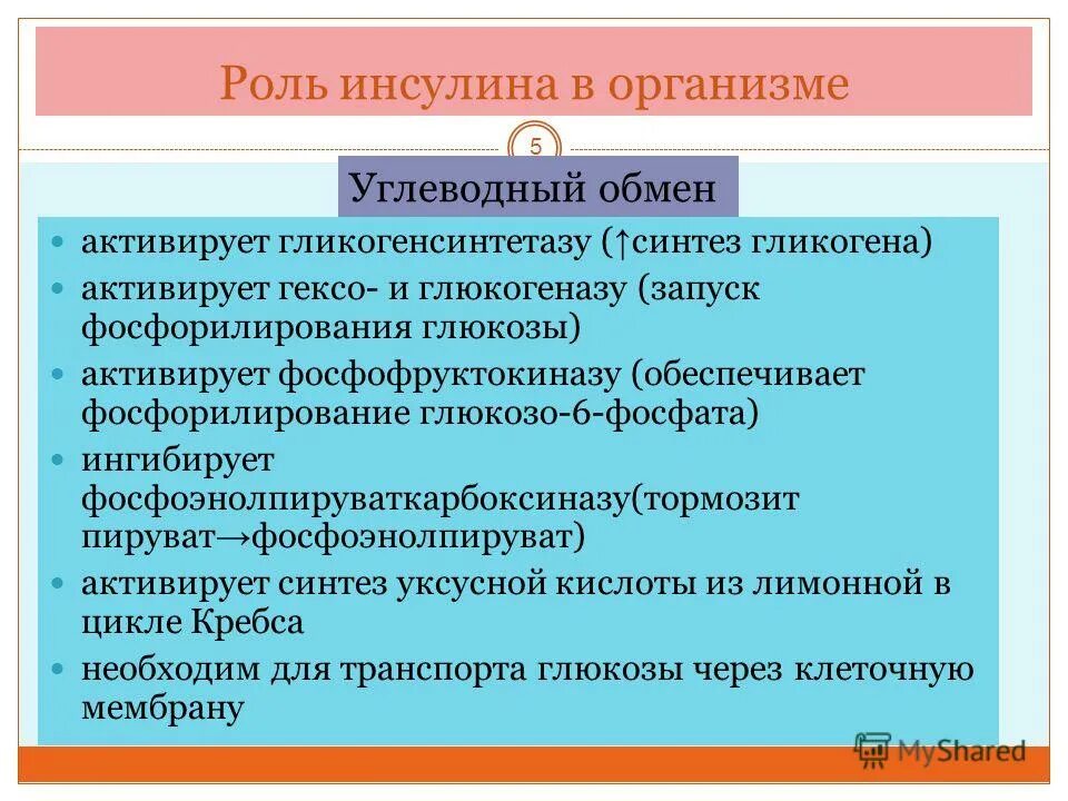 Инсулин функции кратко. Функции инсулина в организме человека. Основная функция инсулина. Инсулин функции кратко. Функции инсулина в организме человека.
