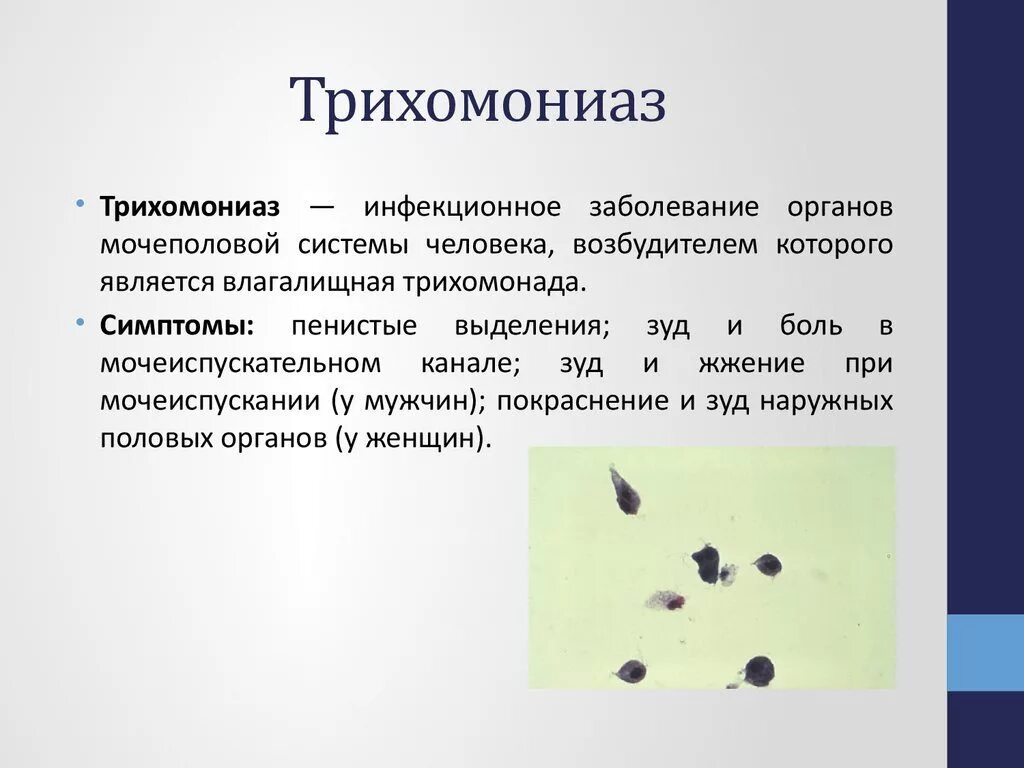 Выделения у мужчин. Трихомонада вызываемое заболевание. Трихомоноз трансмиссивное заболевание. Трихомониаз источник инфекции.