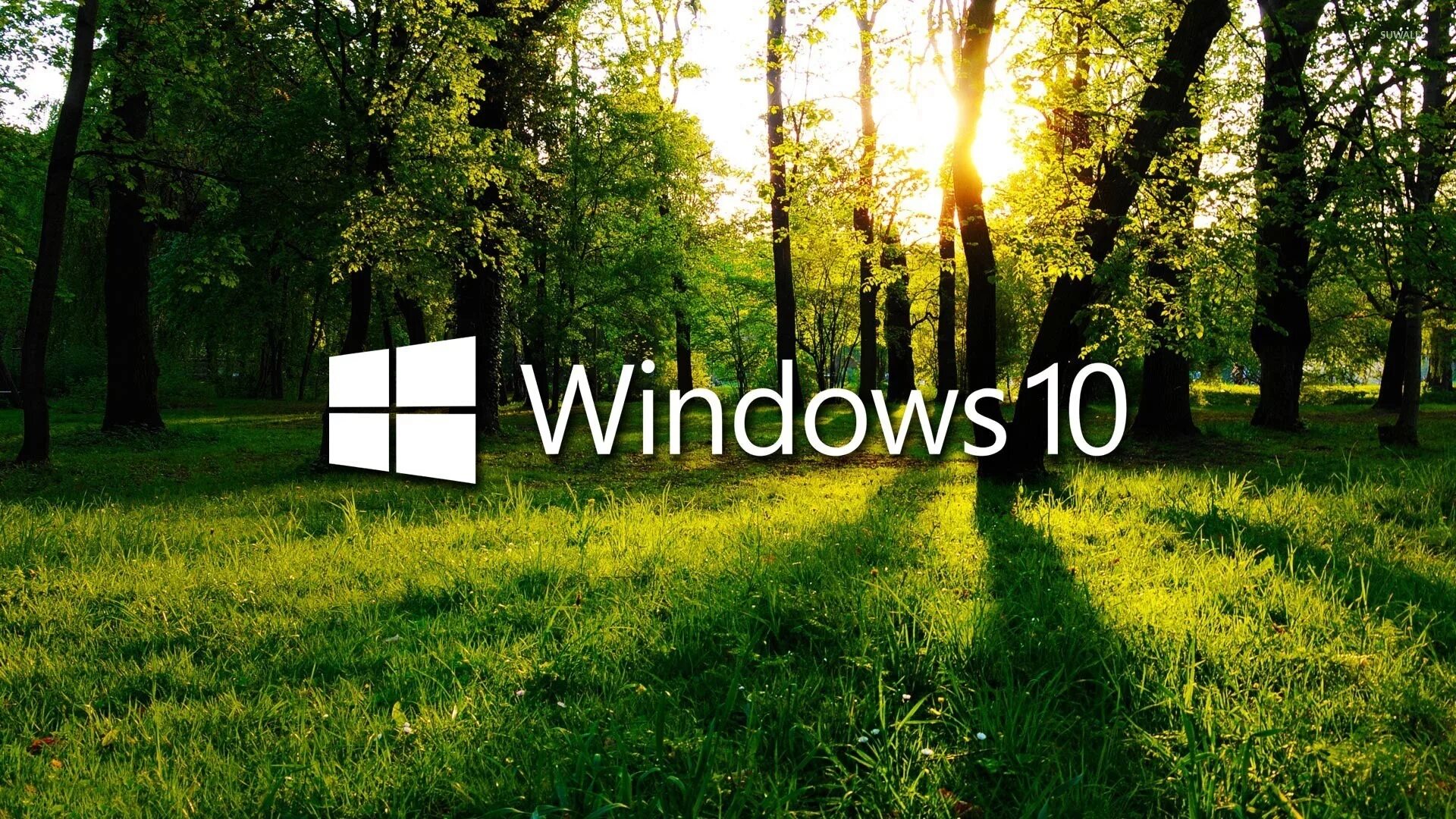 Only windows 10. Заставка виндовс 10. Картинки виндовс 10. Изображения для рабочего стола Windows 10. Красивый рабочий стол для Windows 10.