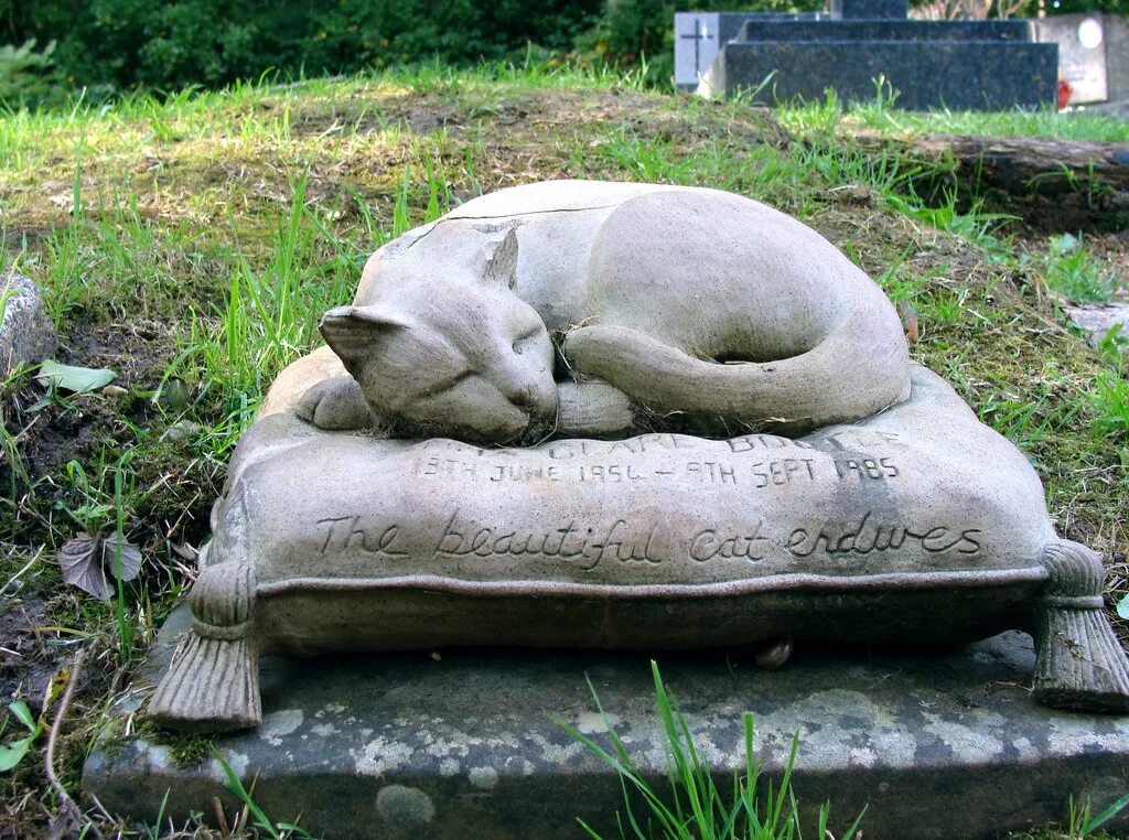 Как похоронить животное. Надгробие для кота. Надгробные камни для животных. Памятник кошке. Надгробный камень для кошки.