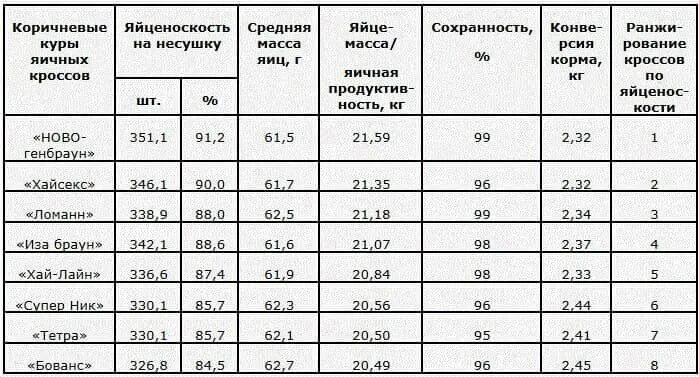 Таблица кур несушек. Таблица продуктивности яичных пород кур. Таблица яйценоскости кур несушек. Породы кур несушек таблица. Таблица продуктивности пород кур несушек.