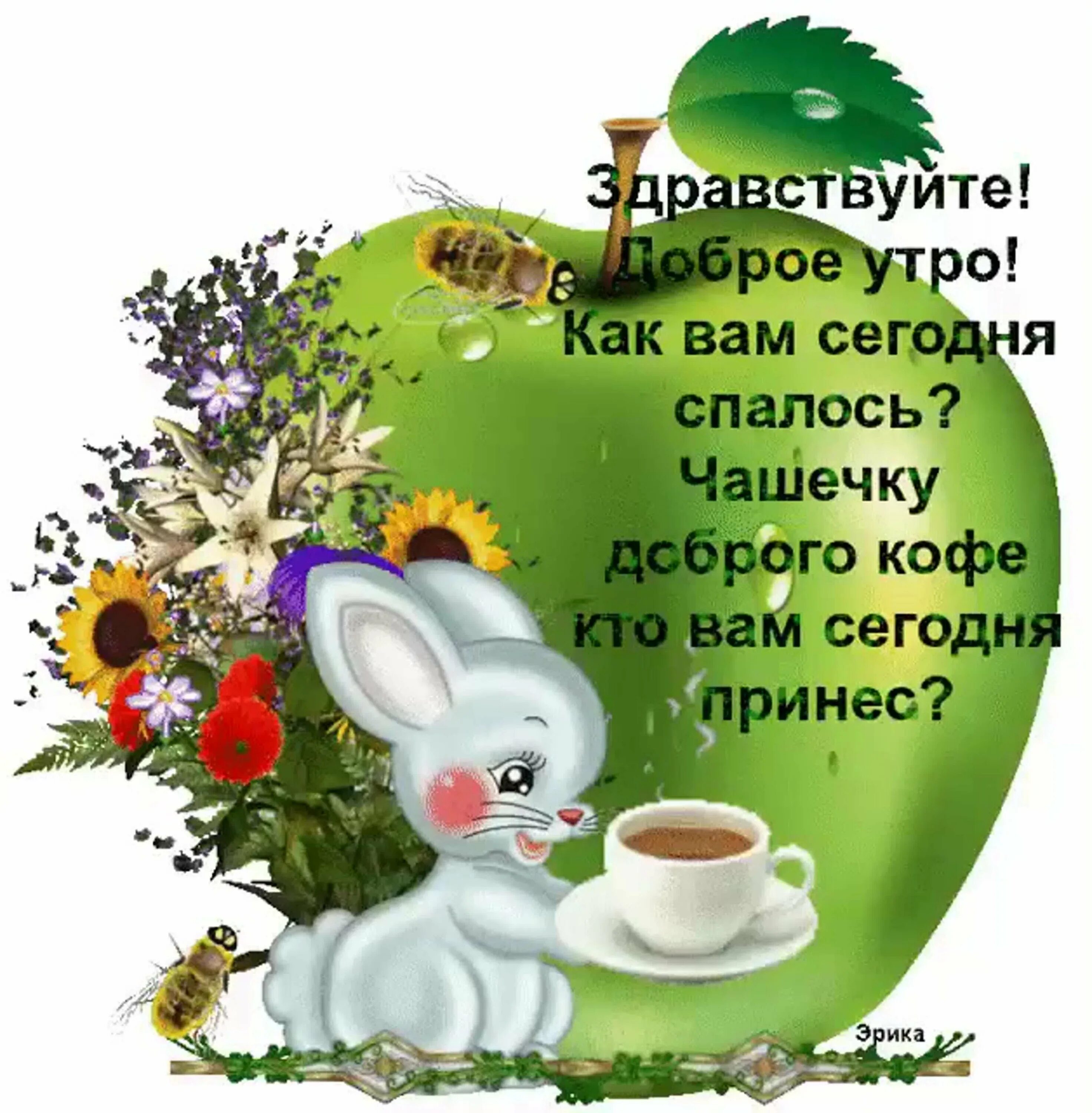 С добрым утром! Котлас