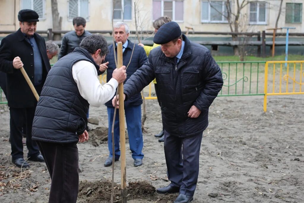 Кизляр благоустройство. Погода в Кизляре. Деревья в Кизляре. Пагода Дагестане в Кизляре. Рп5 кизляр на неделю