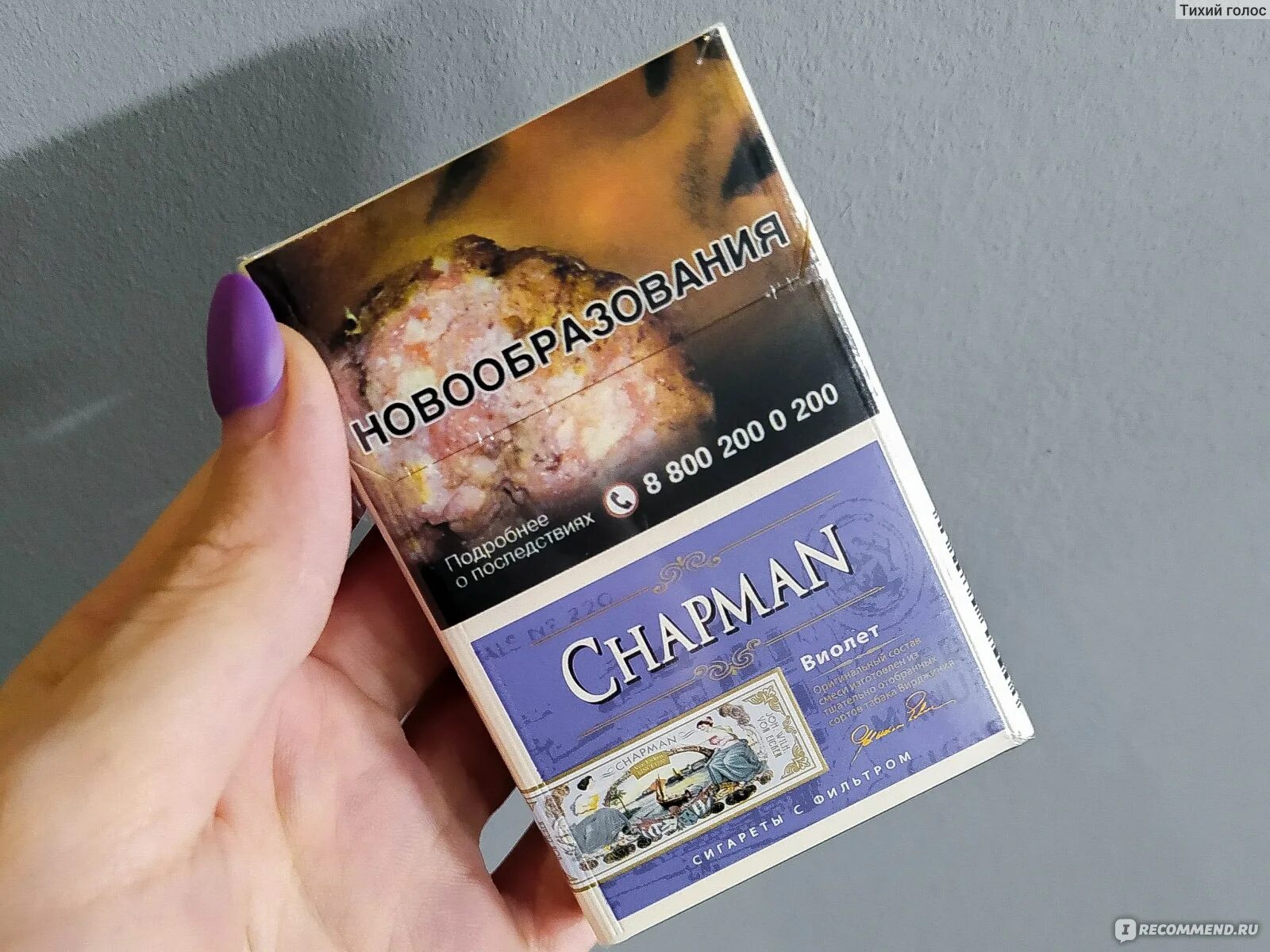 Chapman Nano Виолет. Chapman сигареты Виолет. Сигареты Chapman Nano Violet. Чапман вкусы.