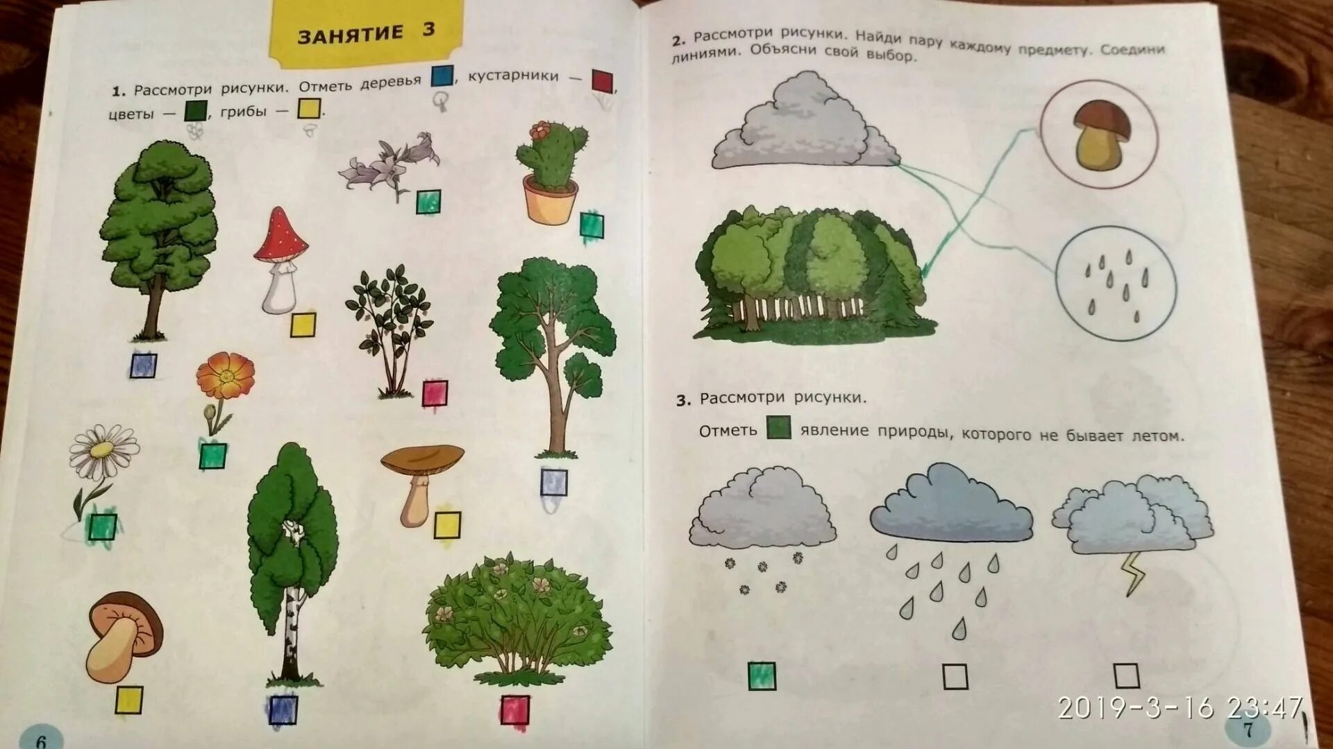 Окружающий мир подготовительная группа книги