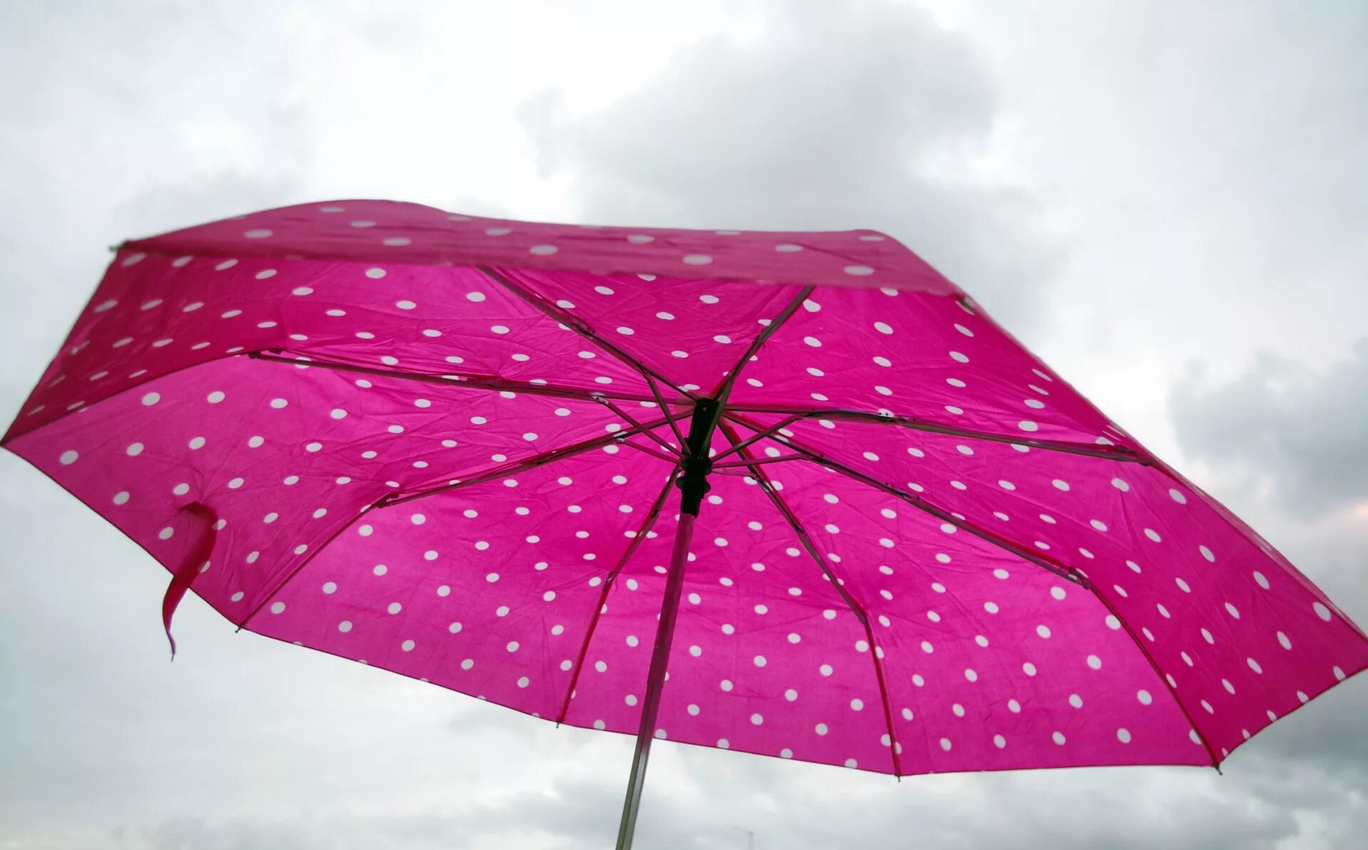 Это экзотика мокнешь без зонтика. Зонтик. Необычные зонты. Раскрытый зонт. Дождевой зонт.
