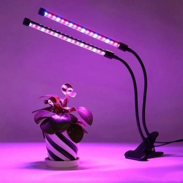 Лампа для растений ультрафиолетовая домашнего. Фитолампа grow light 40 вт. фитолампа для растений led plant grow light 14w. фитолампа камаль 120-510. фитолампа grow light двойная.