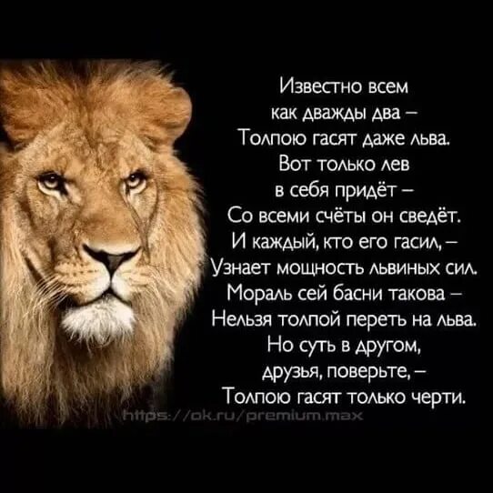 Будь сильным как лев. Лев цитаты. Фразы про Львов. Лев надпись. Статусы про Львов.