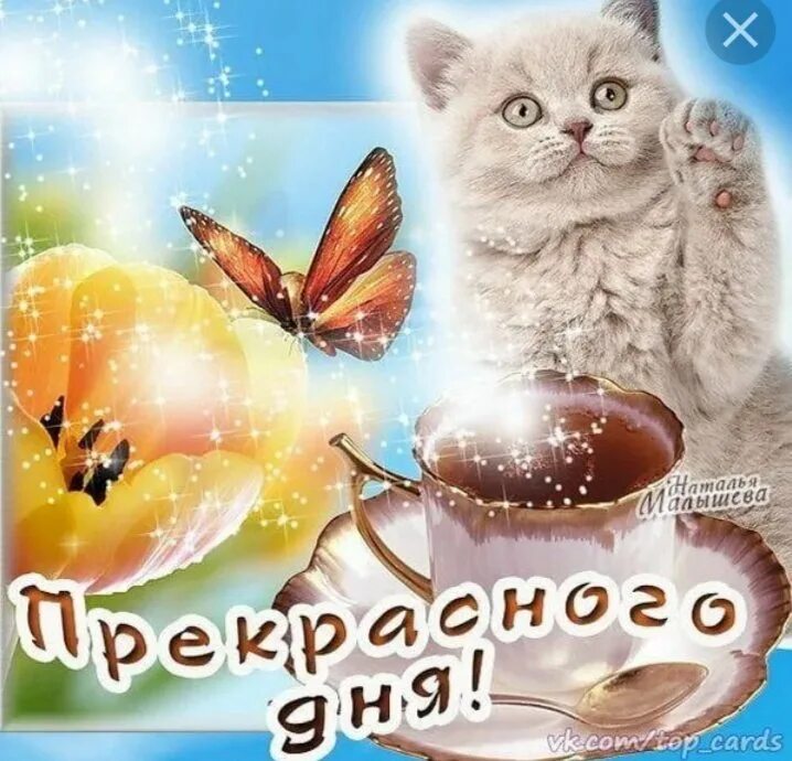 Открытки удачного дня. Добрый день мужчине. Открытка хорошего дня мужчине. Пожелания удачного дня. Открытка хорошего дня мужчине.