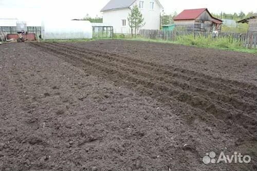 Культивация огорода трактором. Культивация земли. Участок после культиватора. Земля после культиватора. Авито вспашка огорода