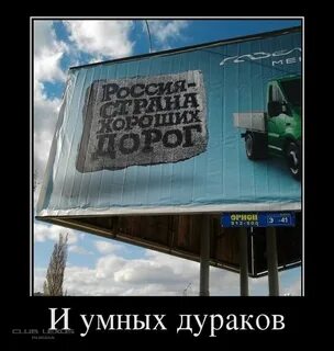 Приколы про дураков