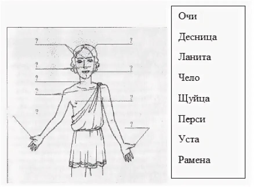 Старинные названия частей тела. Древнииназвани частей тела. Устаревшие названия частей лица. Устаревшие названия частей тела.