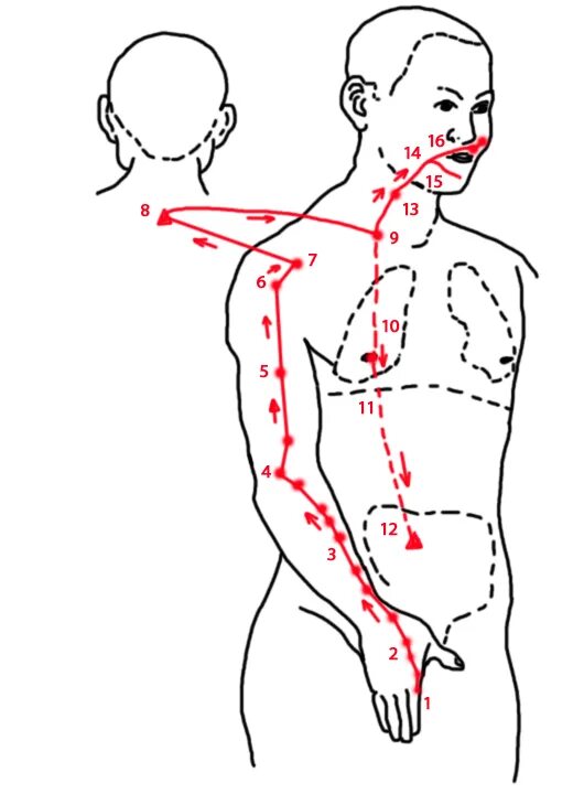 канал толстого кишечника акупунктурные точки. меридиан толстого кишечника топография точек. меридиан толстого кишечника точки акупунктуры. канал толстой кишки акупунктурные точки. канал толстого кишечника акупунктурные точки.