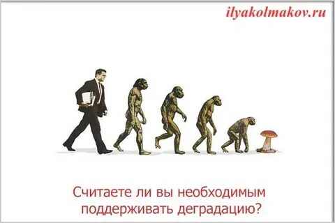 Деградация регресс