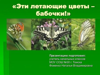 Бабочки первый класс окружающий мир