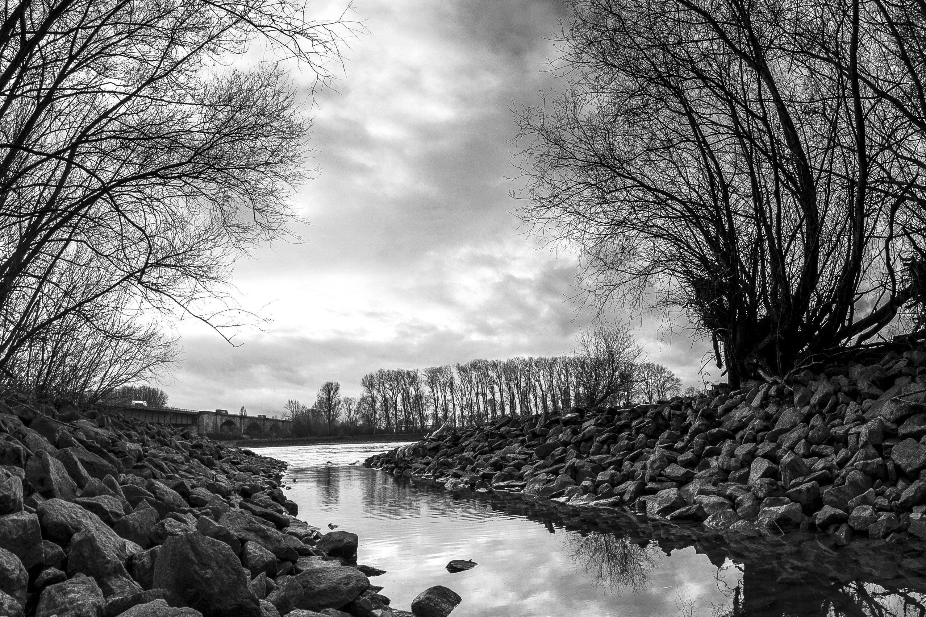White river. Река Рейн. Река Рейн чб. Река черно белая. Монохромные снимки.