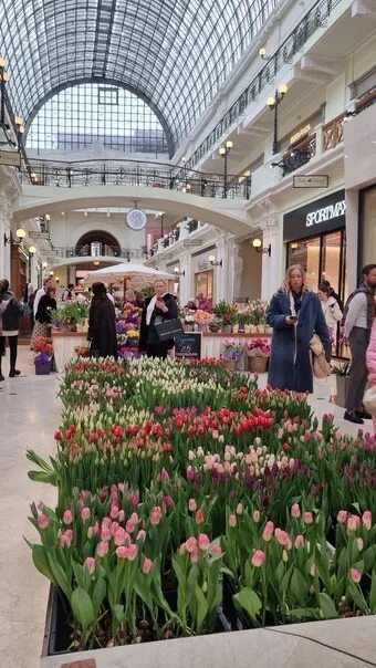 Петровский пассаж выставка цветов. Петровский Пассаж тюльпаны. Петровский Пассаж Москва. Пассаж в цветах 2023.