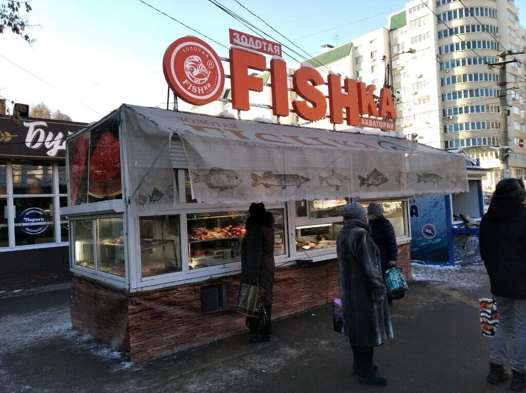 золотая фишка рыба. волжская стерлядь. рыбный самара. рыбный самара. акватория рыба.