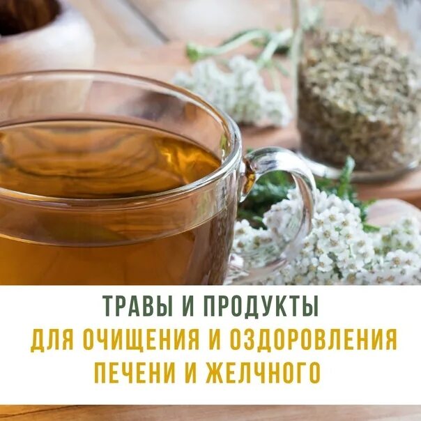 Народный способ лечения печени. Травы и продукты для печени. продукты для оздоровления печени. продукты для очистки печени. продукты для очистки печени и желчи.