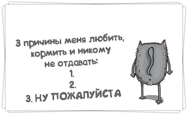 Любить кормить и никому не отдавать. Забавные коты с надписями. Почему я такая страшная на фото. Меня нужно любить кормить. Медвежонок любит лисичку.
