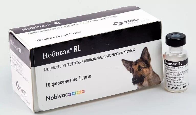Вакцина комплексная для собак купить. Нобивак RL a212a03. Вакцина Нобивак без бешенства. Вакцинация собак Нобивак. Нобивак для щенков.