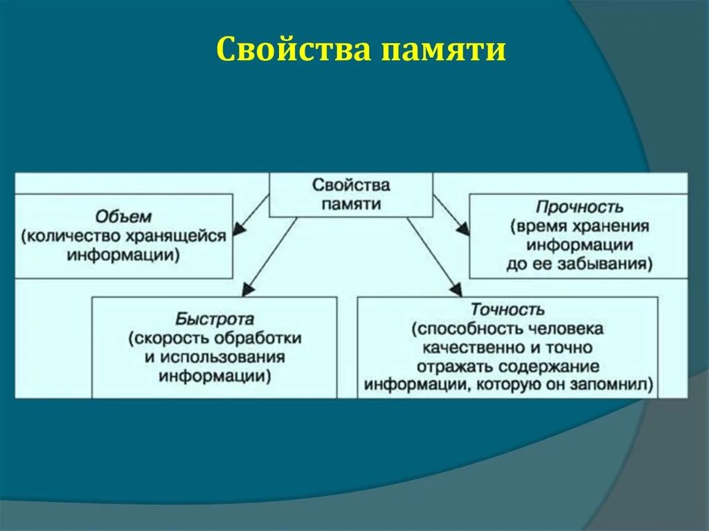 Память варианты. Свойства процесса памяти. Основные свойства памяти в психологии. Основные процессы памяти свойства памяти. Памяти человека свойственны функции.