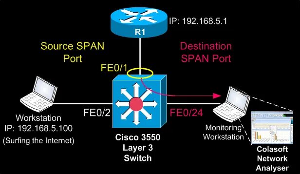 Span сети. Span порт коммутатора что это. Span. Span Port Mirroring. Порт Spin.