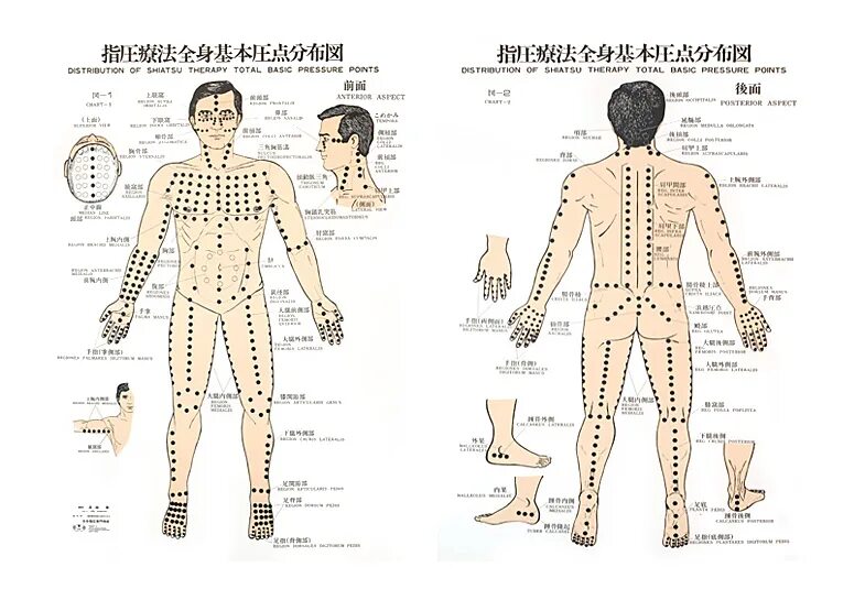 Названия точек человека. Шиацу точки схемы. Акупунктурные точки на теле человека для массажа. Шиацу точечный массаж точки. Шиатсу меридианы.