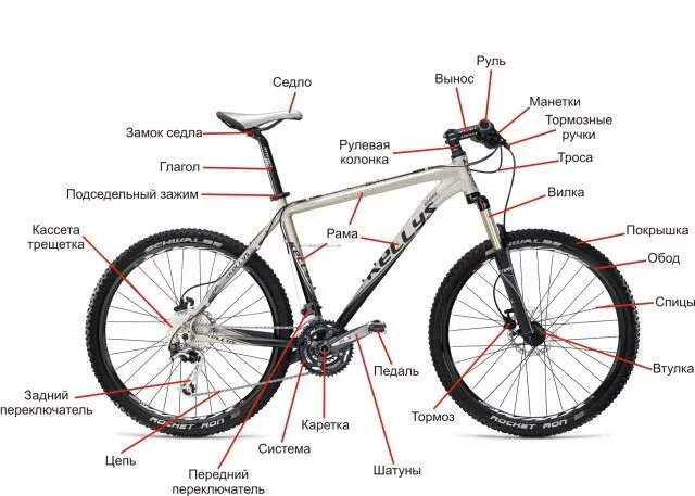 Размеры скоростных велосипедов. Составные части велосипеда стелс. Устройство скоростного велосипеда схема. Схема велосипеда с названием деталей стелс. Схема горного велосипеда стелс с названием деталей.