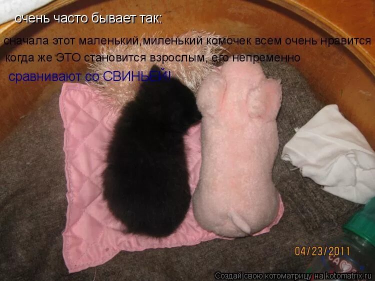 Самый большой друг и самый большой враг человека его воображение. Очень часто бывает. Циник цитаты. Циник цинизм. Очень часто бывает.